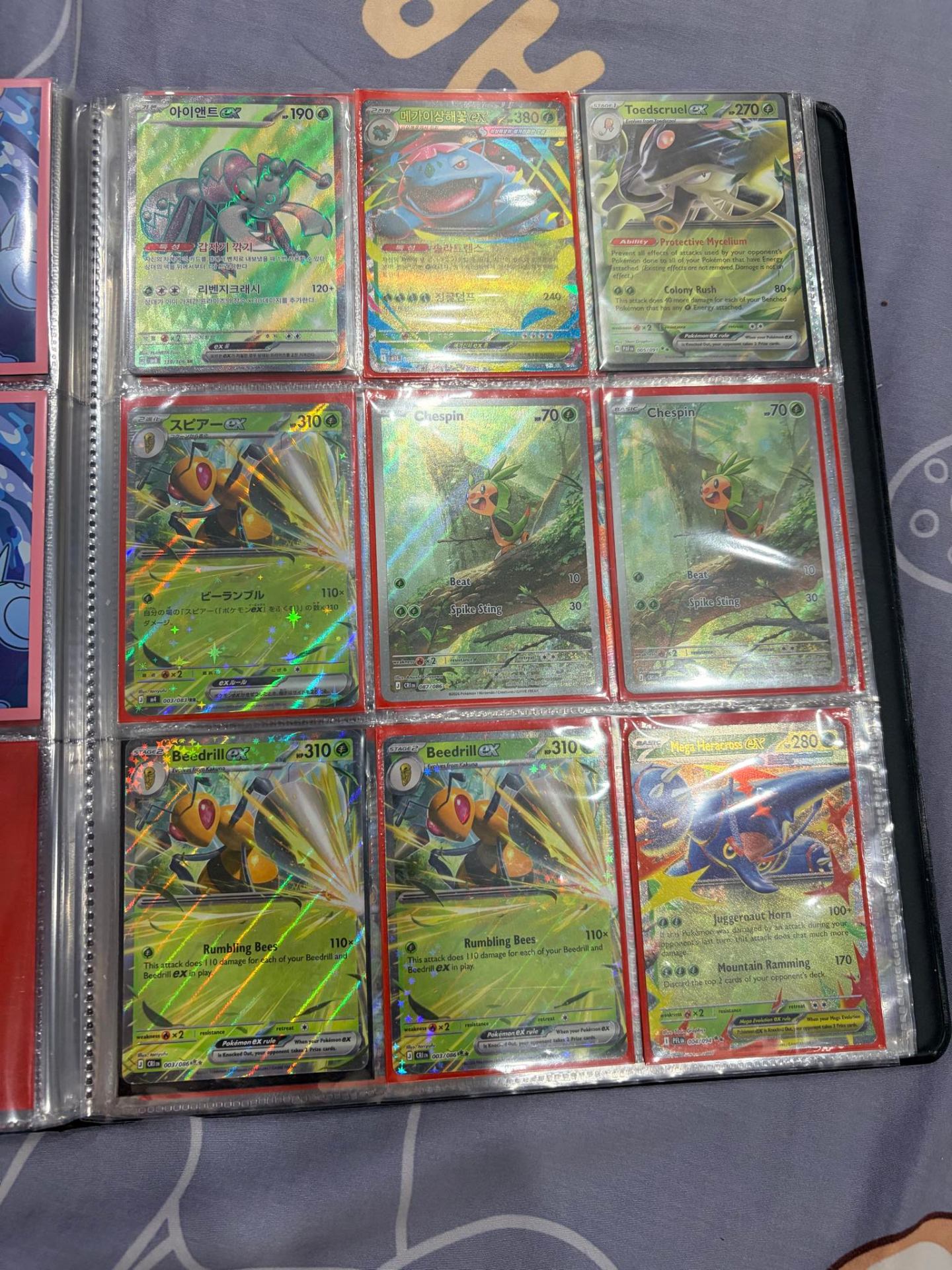 Binder Pokémon Mega Venusaur & Beedrill EX